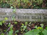 image of grave number 842384